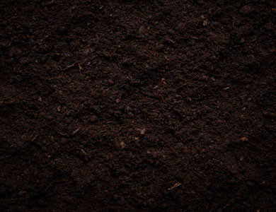 Soil