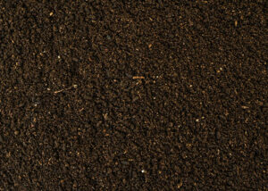 soil