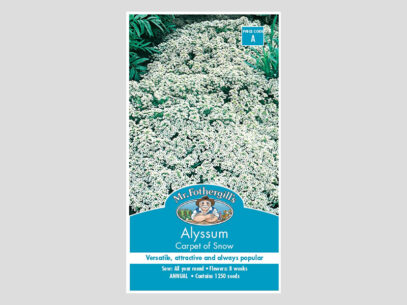 Alyssum Carpet Of Snow