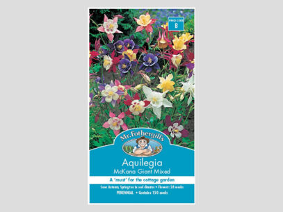 Aquilegia Mckana Giant Mixed