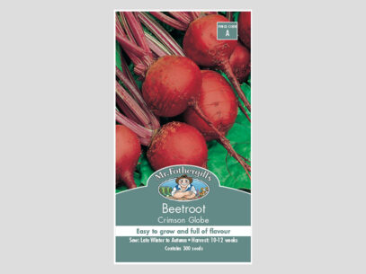 Beetroot Crimson Globe