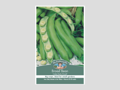 Broad Bean Coles Early Dwarf