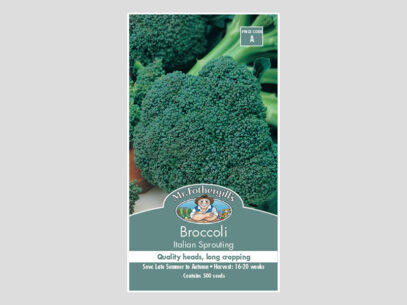 Broccoli Italian Sprouting