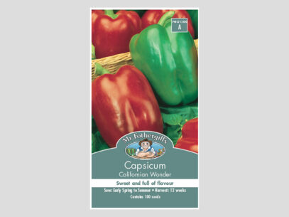 Capsicum Californian Wonder