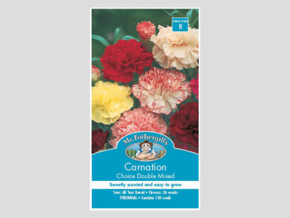 Carnation Choice Double Mixed