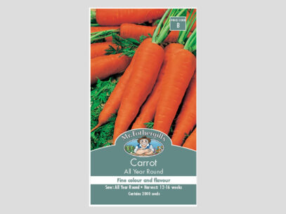 Carrot All Year Round