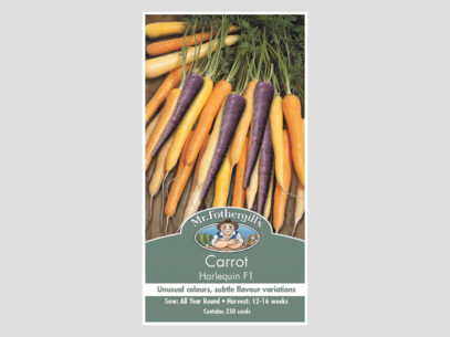 Carrot Harlequin