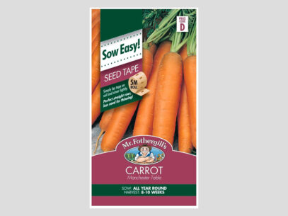 Carrot Seed Mat