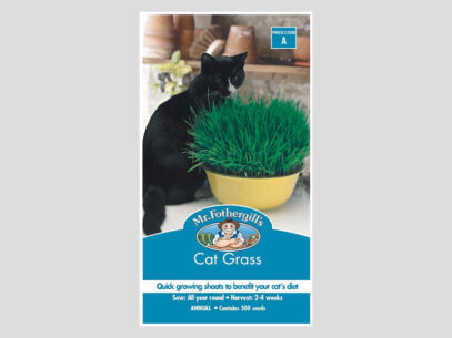 Cat Grass