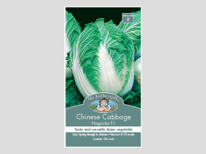 Chinese Cabbage