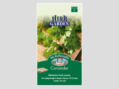 Coriander