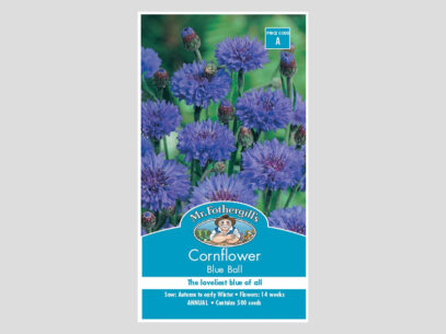 Cornflower Blue Ball