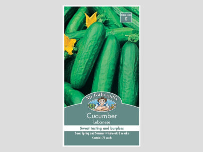 Cucumber Lebonese