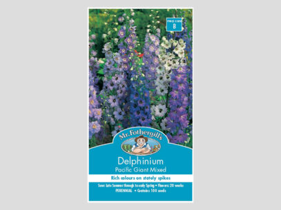 Delphinium Pacific Giant Mixed