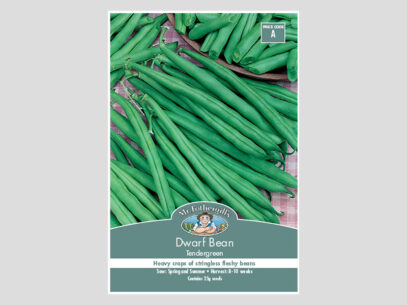 Dwarf Bean Tendergreen