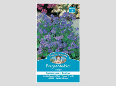 Forget Me Not