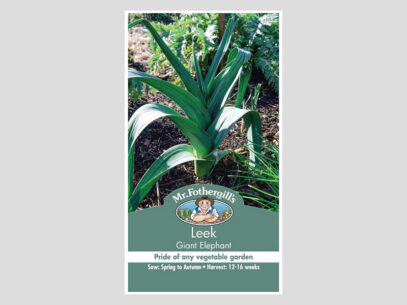 Leek Giant Elephant