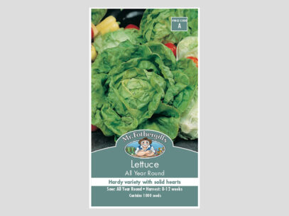 Lettuce All Year Round