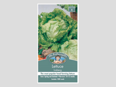 Lettuce Iceberg