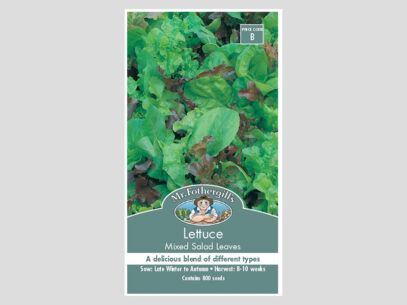 Lettuce Mixed Salad Leaves