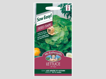 Lettuce Seed Mat