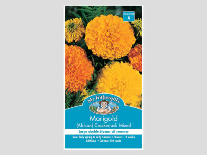 Marigold African Crackerjack Mixed