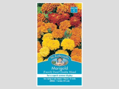 Marigold French Dwarf Double Mixed