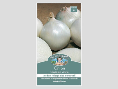 Onion Gladalan White