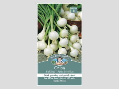 Onion Paris Silverskin