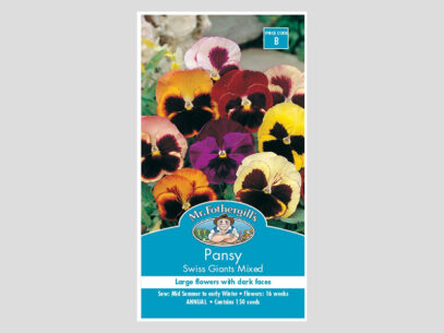 Pansy Swiss Giants Mixed