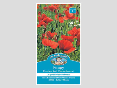 Poppy Flanders Red