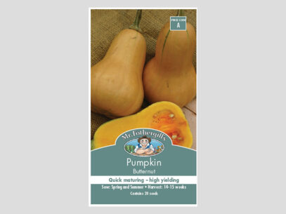 Pumpkin Butternut