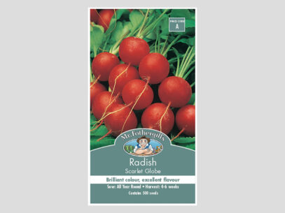 Radish Scarlet Globe