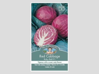 Red Cabbage