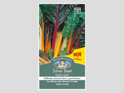 Silver Beet Bright Lights