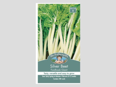 Silver Beet Fordhook Giant