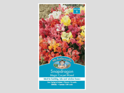 Snapdragon Magic Carpet Mixed