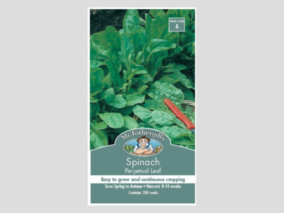 Spinach Perpetual Leaf