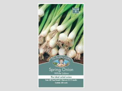 Spring Onion White Lisbon