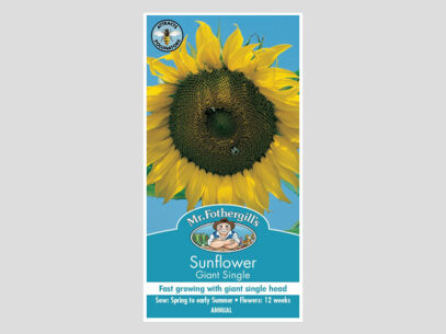 Sunflower Giant Single