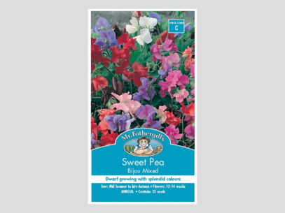 Sweet Pea Bijou Mixed