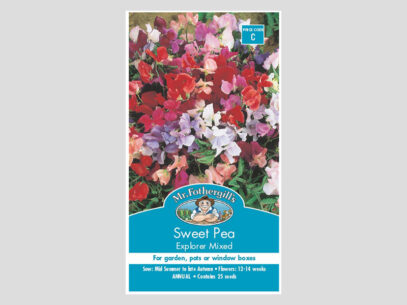 Sweet Pea Explorer Mixed