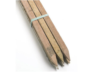 Timber Stakes 10 Pack