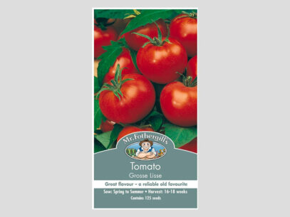 Tomato Gross Lisse