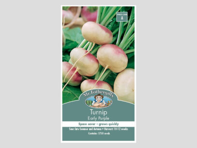 Turnip Early Purple