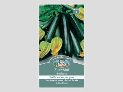 Zucchini Blackjack