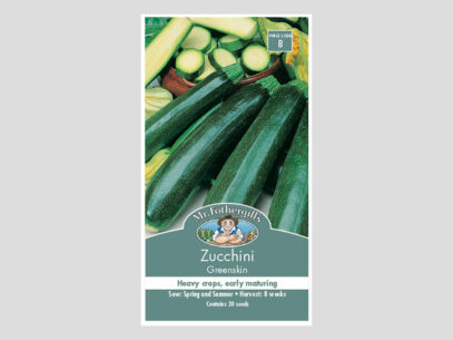 Zucchini Greenskin