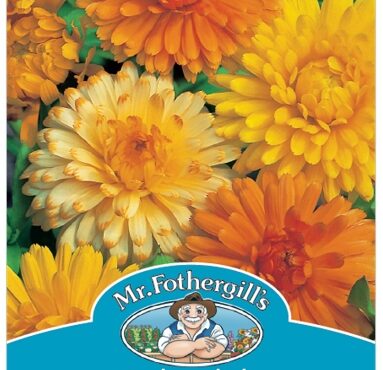 CALENDULA, PACIFIC BEAUTY MIXED, SEEDS, CODE A