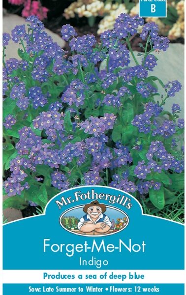 FORGET-ME-NOT, INDIGO SEEDS, CODE B