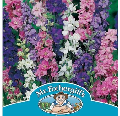 LARKSPUR, GIANT IMPERIAL MIXED, SEEDS, CODE B